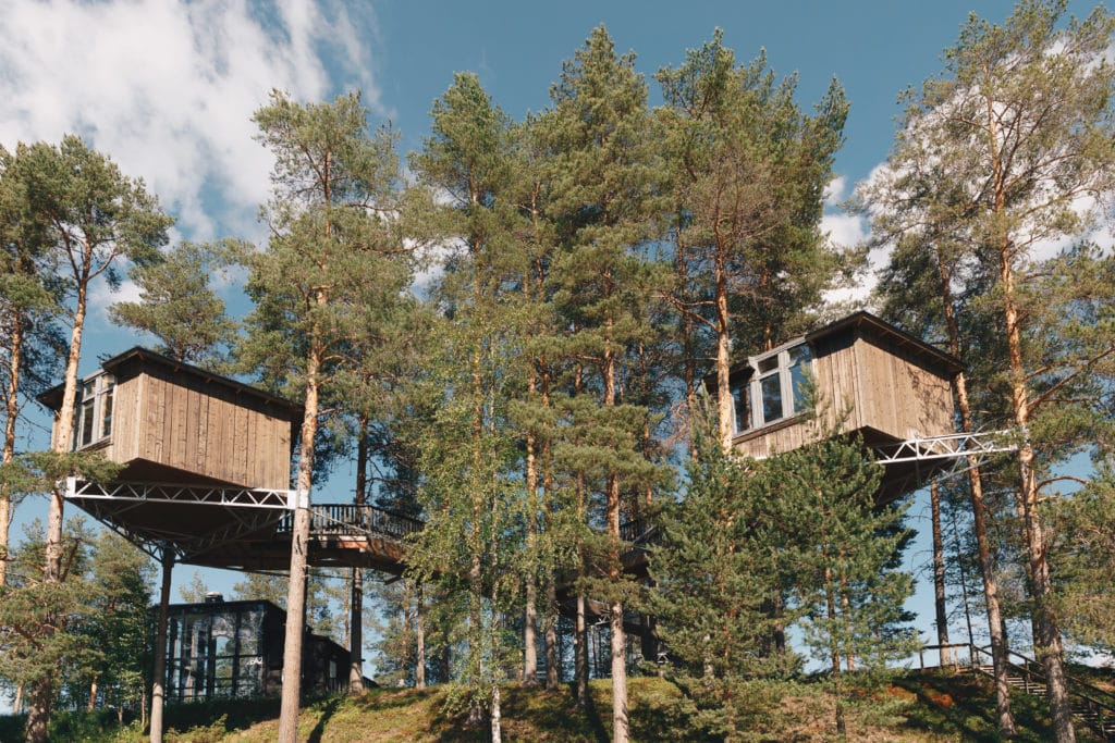 Granö Beckasin 4 20200717 G15A2834