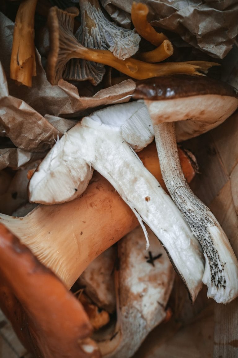 4dlKyj30 scaled 1